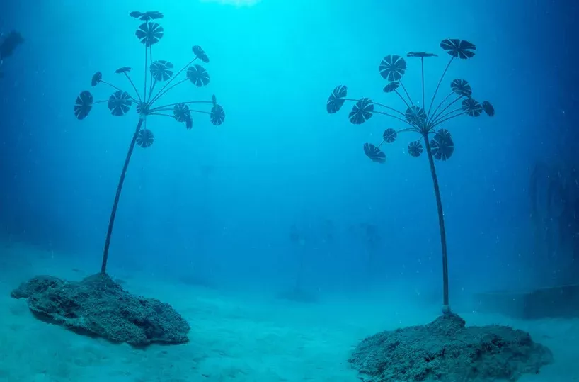 澳大利亚 | 藏在世界最著名暗礁之下的水下艺术博物馆(图4)