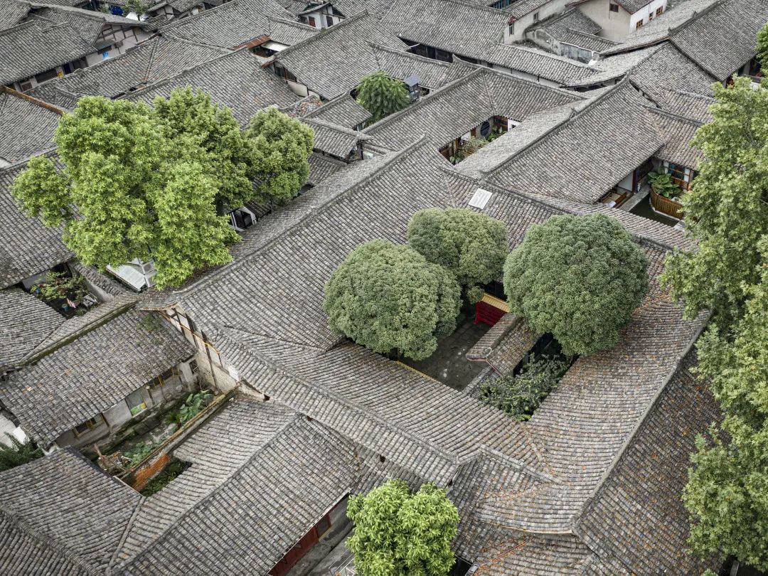 阆中古城——中国民间建筑的一大奇观~(图13)
